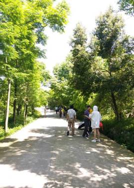 QQ图片20170516093823