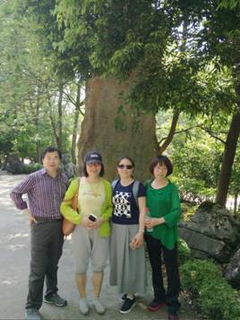 QQ图片20170516093752